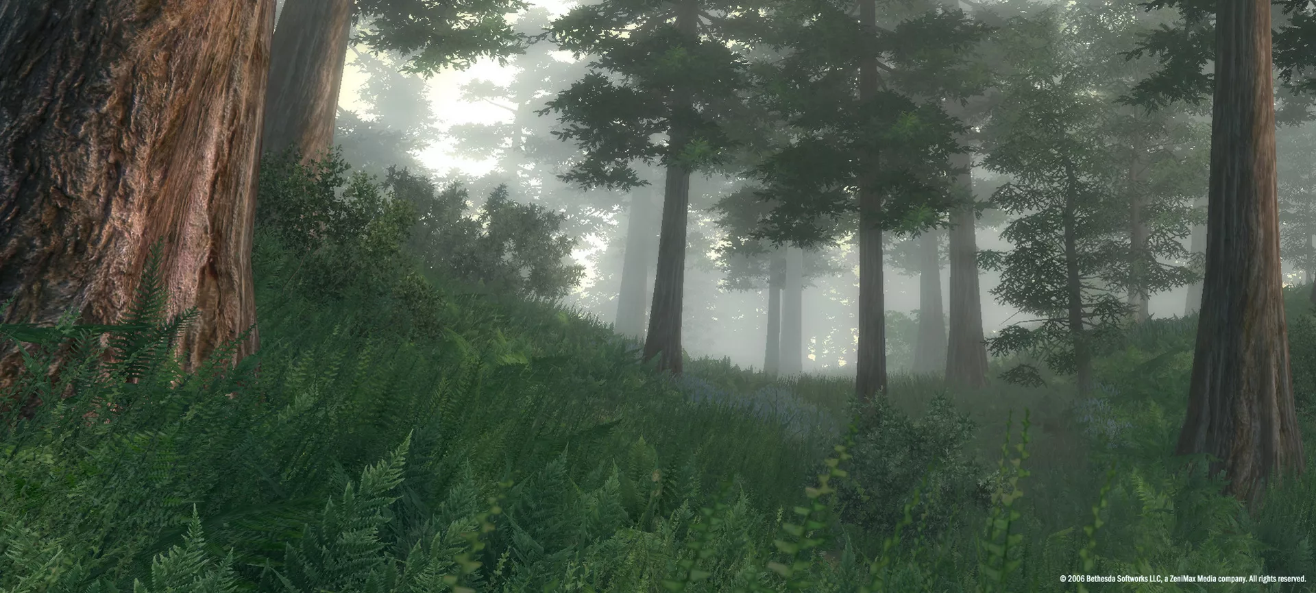The Elder Scrolls IV: Oblivion