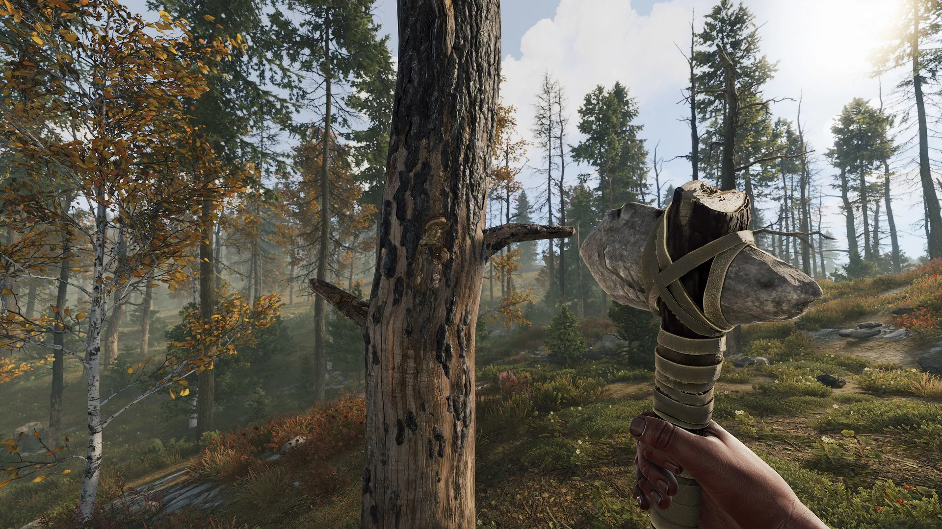 Mão a segurar uma Stone Hatchet junto a uma árvore, numa floresta de Rust
